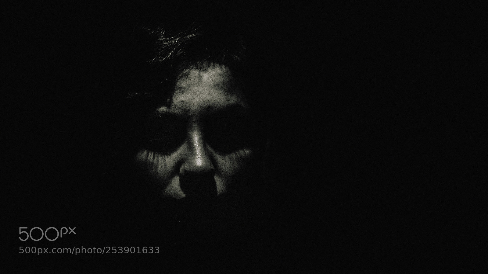 Canon EOS 700D (EOS Rebel T5i / EOS Kiss X7i) sample photo. Into the shadows. photography