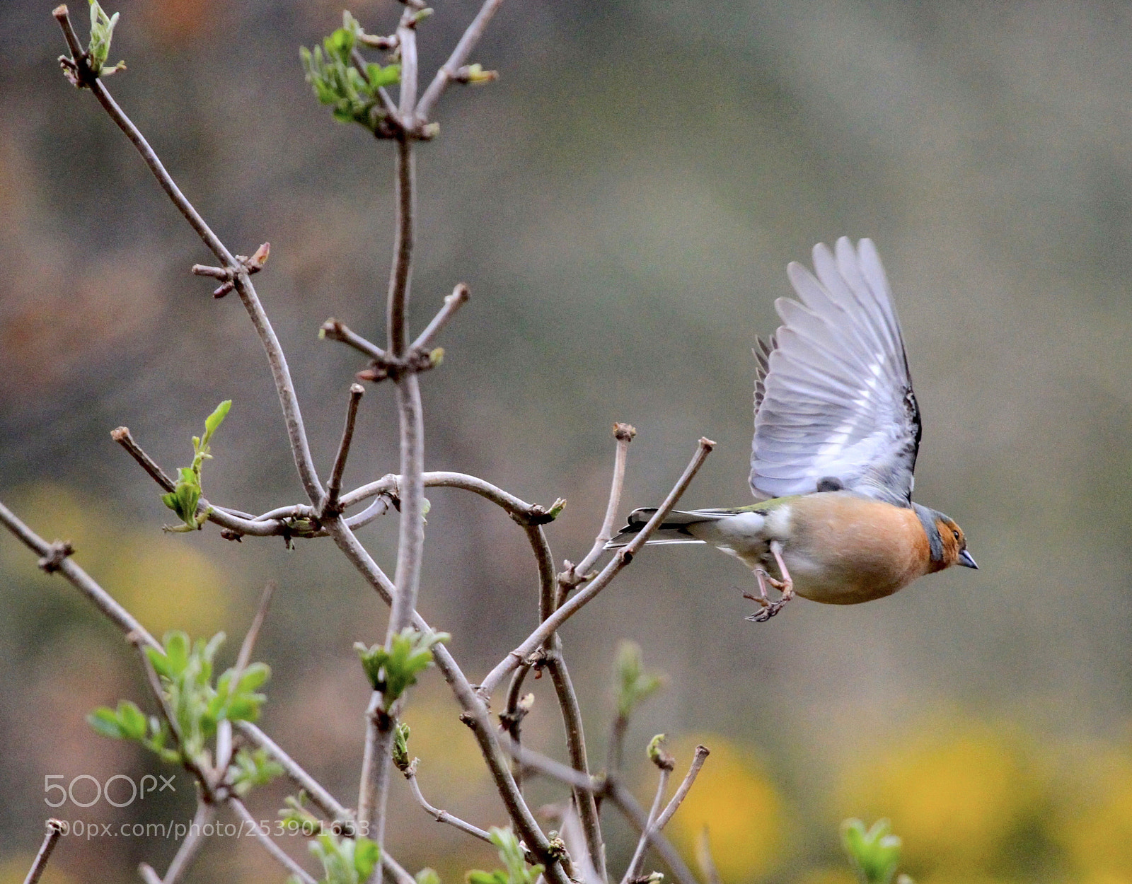 Canon EOS 7D sample photo. It s time to photography