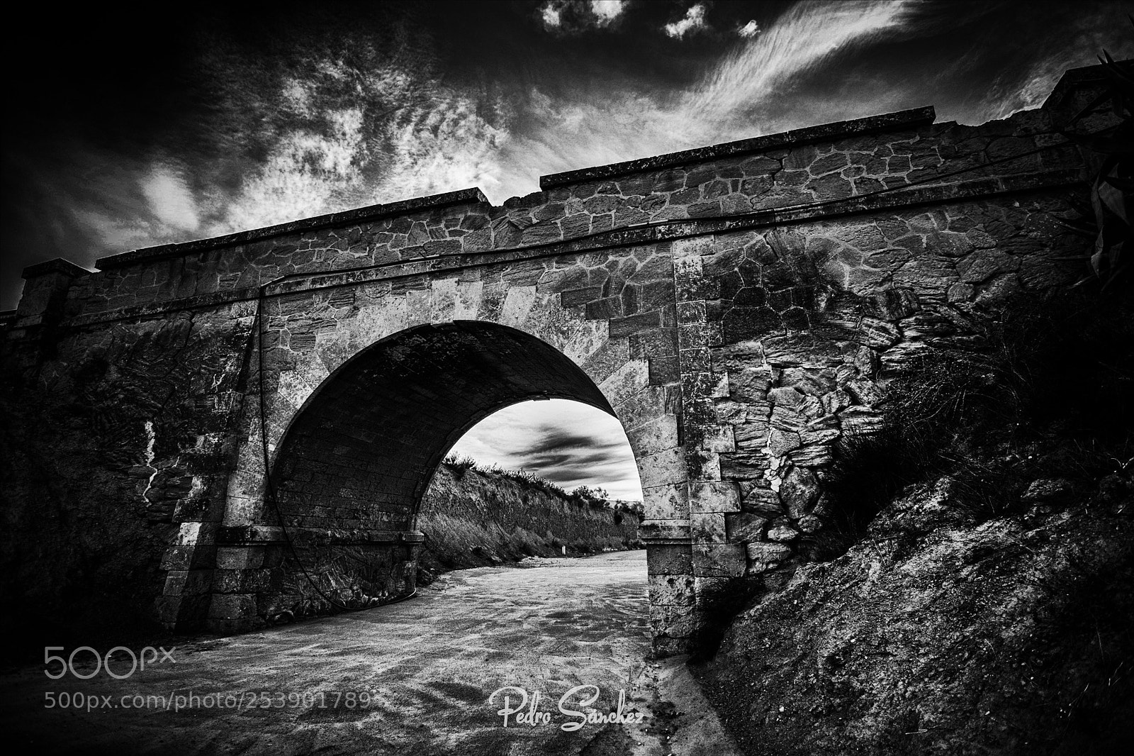 Nikon D5500 sample photo. Bridge photography