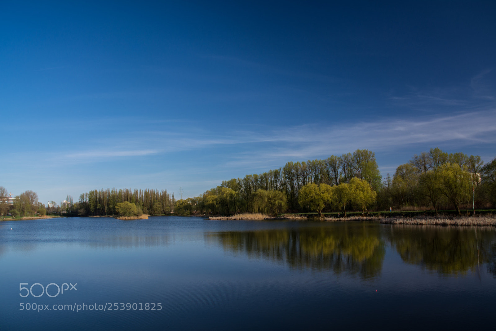 Nikon D5200 sample photo. Dimanche photography