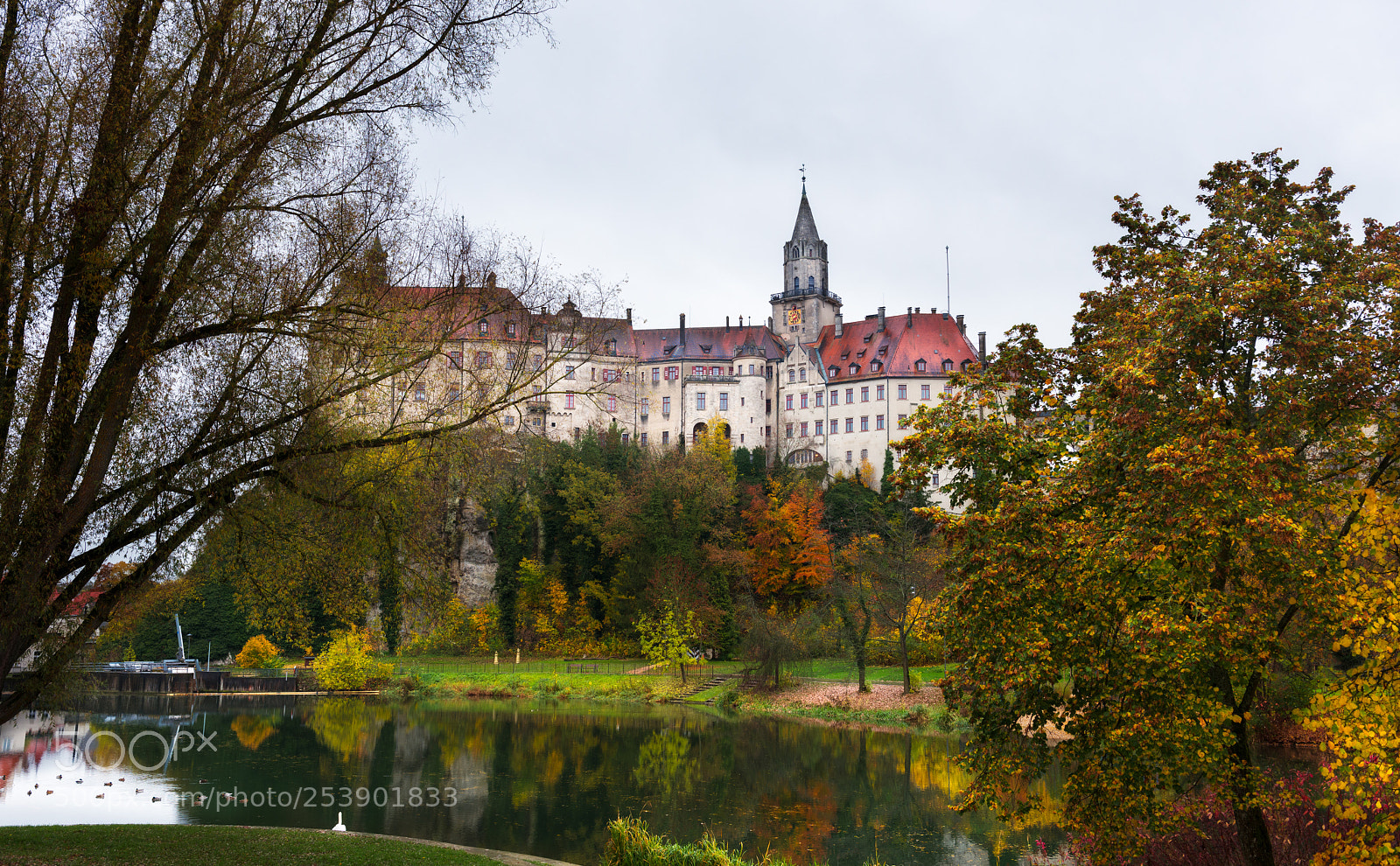 Nikon D800 sample photo. Schloss sigmaringen photography