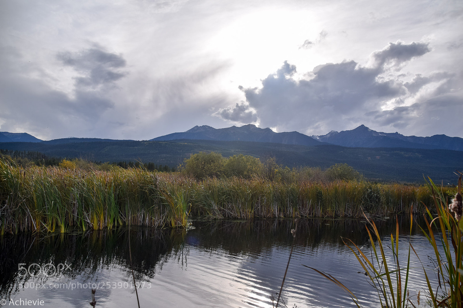 Nikon D3300 sample photo. Searching for beavers in photography
