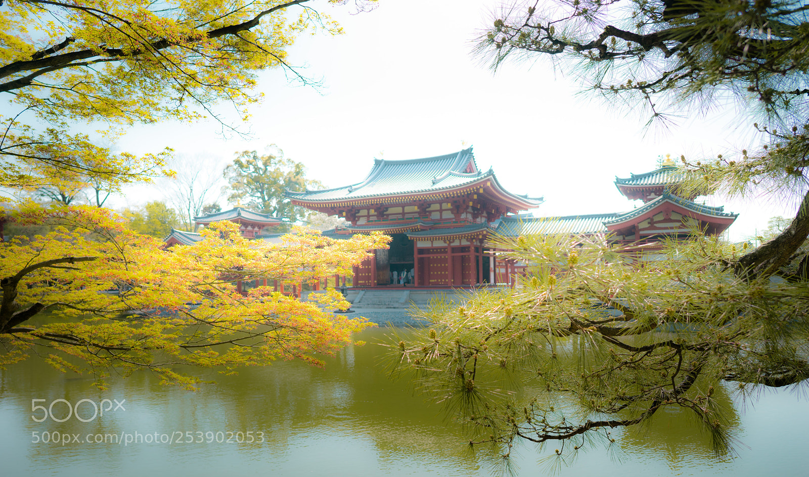 Sony a7 sample photo. Japan photography