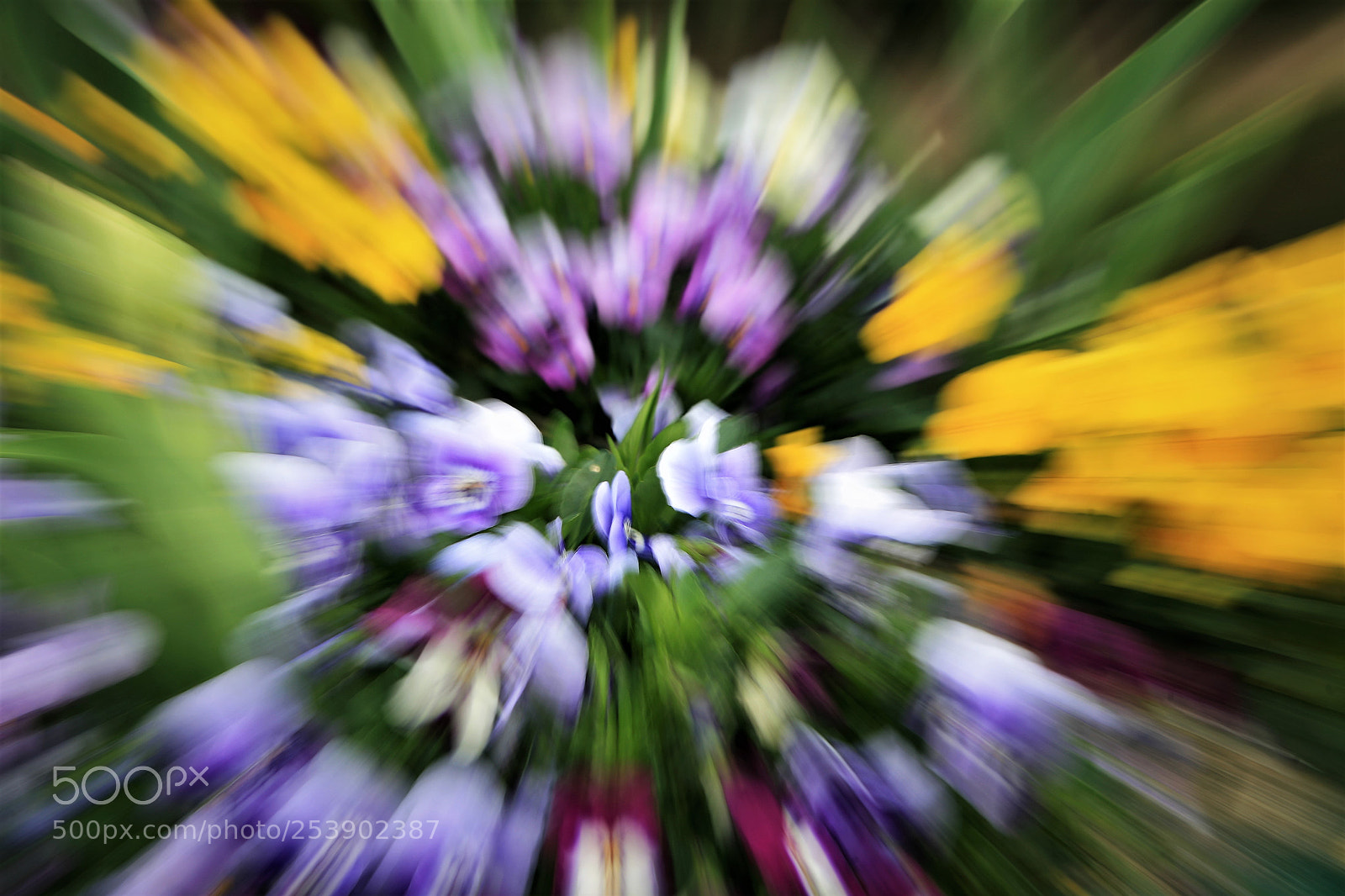 Canon EOS 5D sample photo. Zooming photography