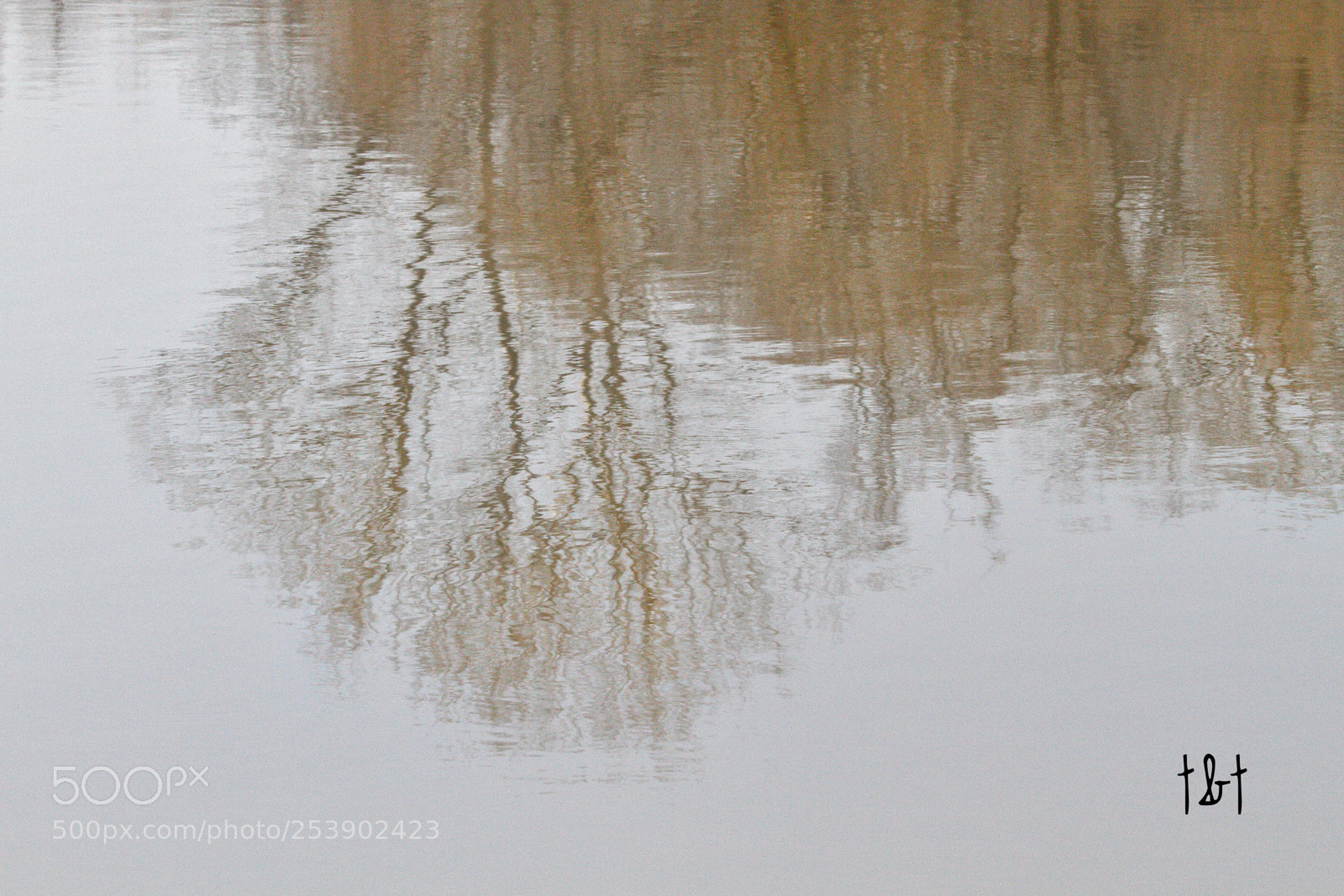 Canon EOS 7D sample photo. Untitled photography