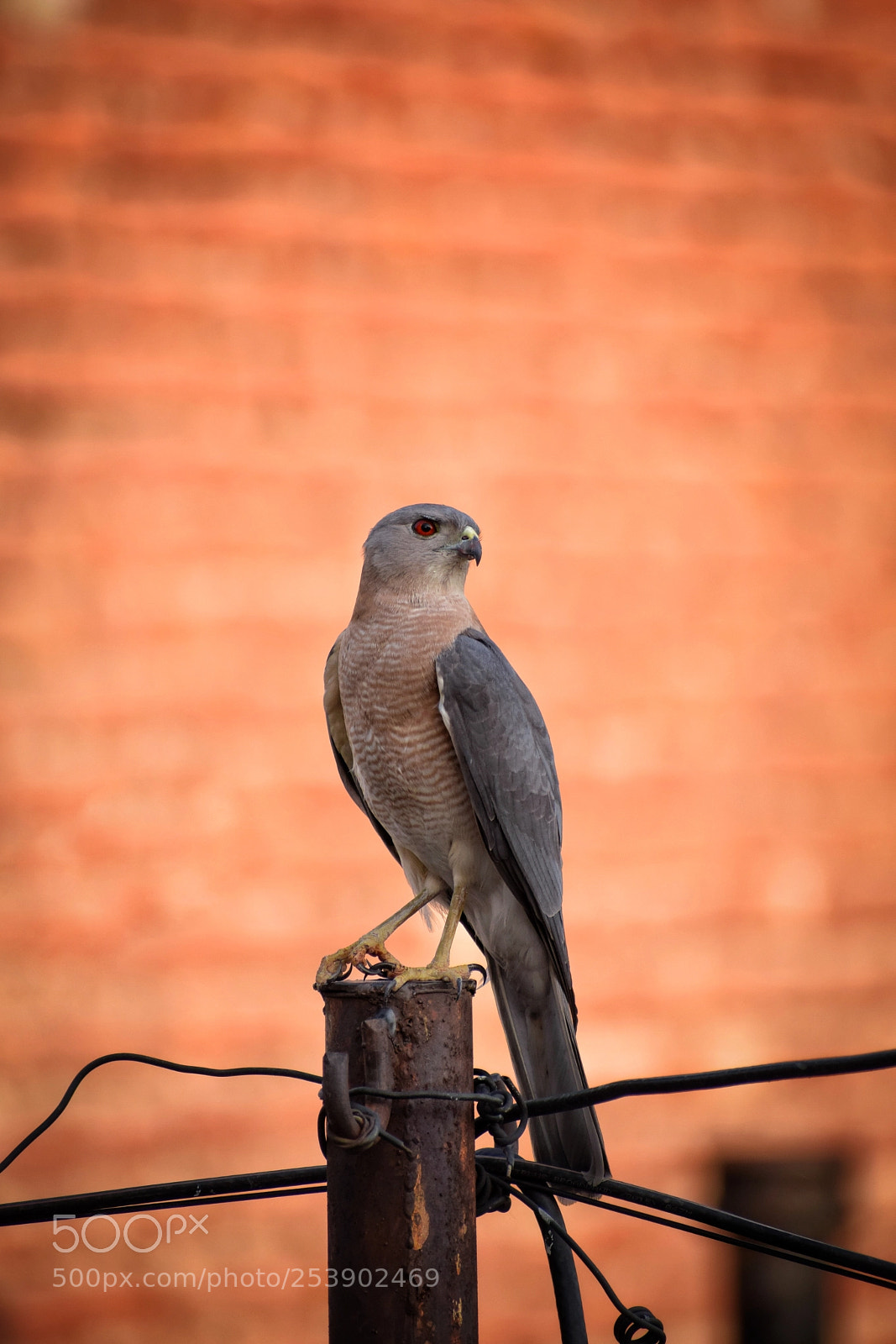 Nikon D5300 sample photo. Feel ! photography