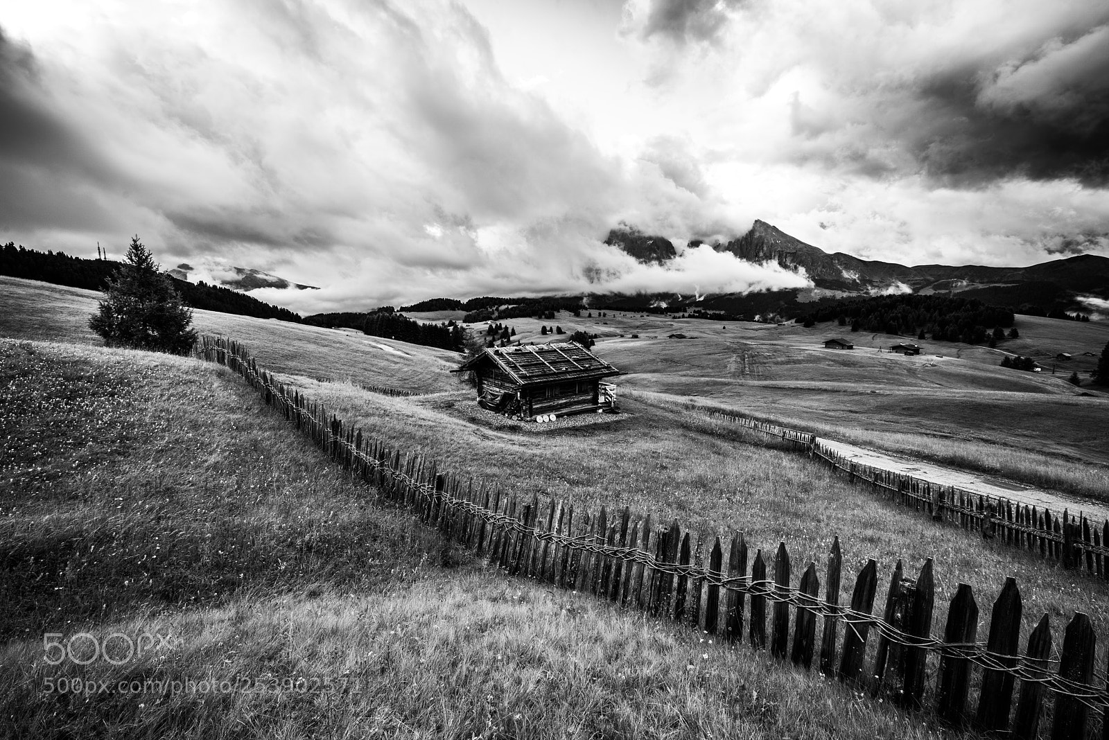 Nikon D810 sample photo. [ seiser alm ] photography