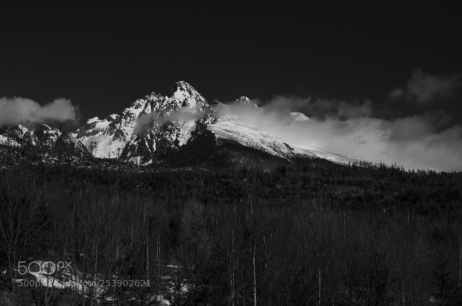 Nikon D5100 sample photo. High tatras photography