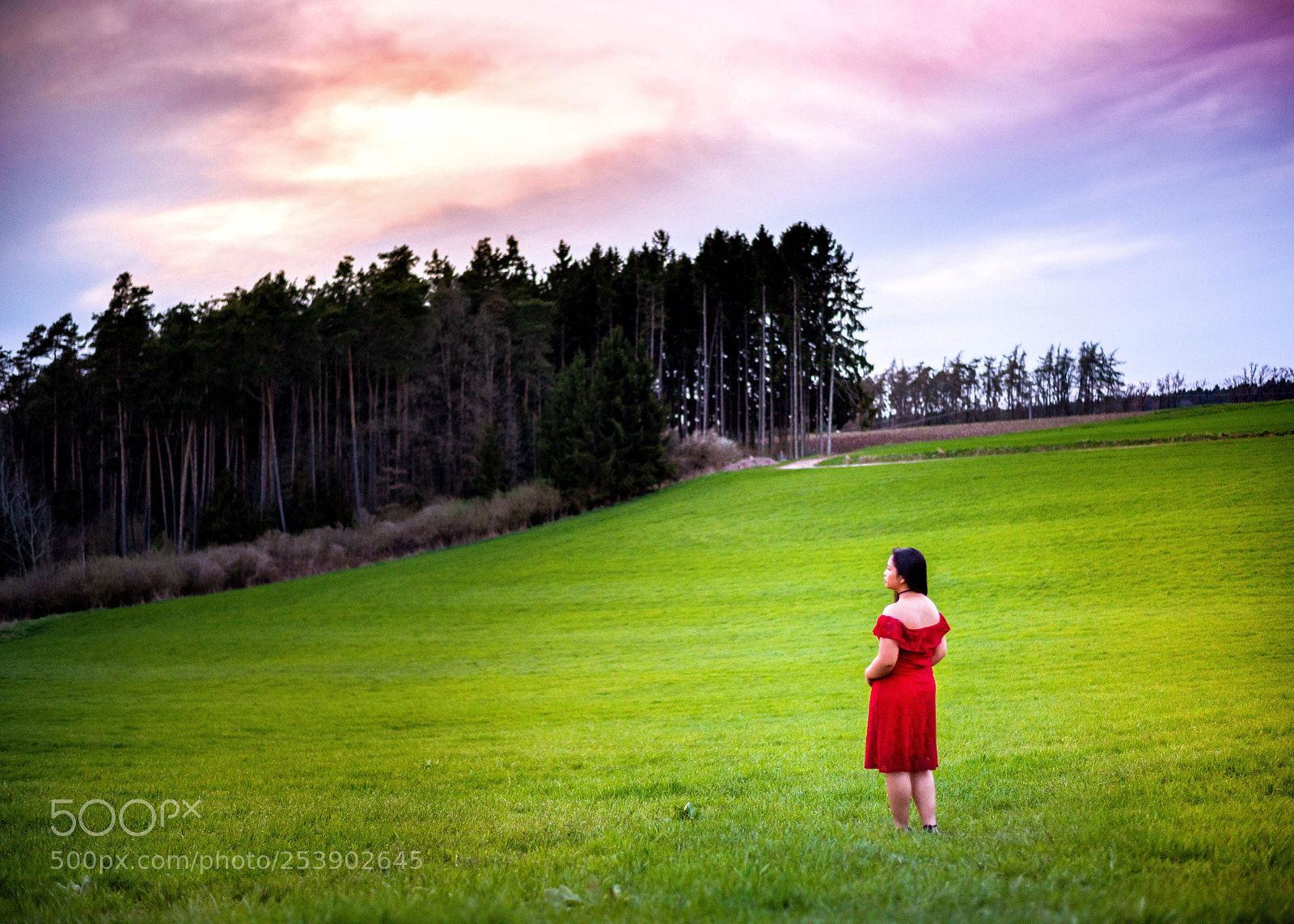 Nikon D810 sample photo. Untitled photography