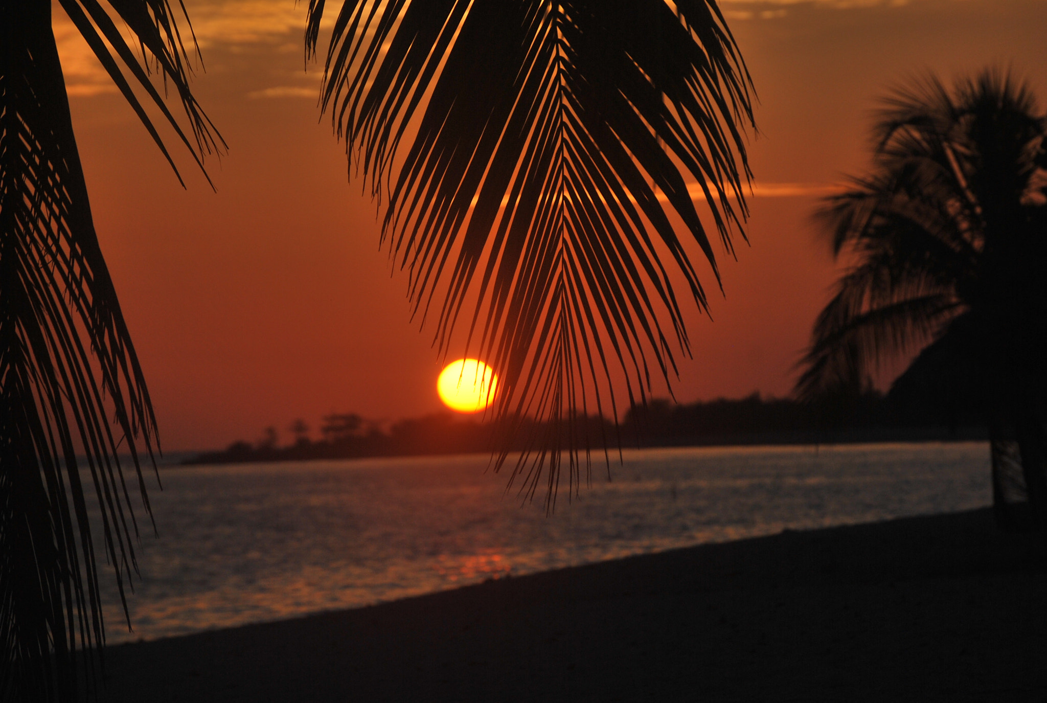Nikon D60 sample photo. Atardecer en playa cubana photography