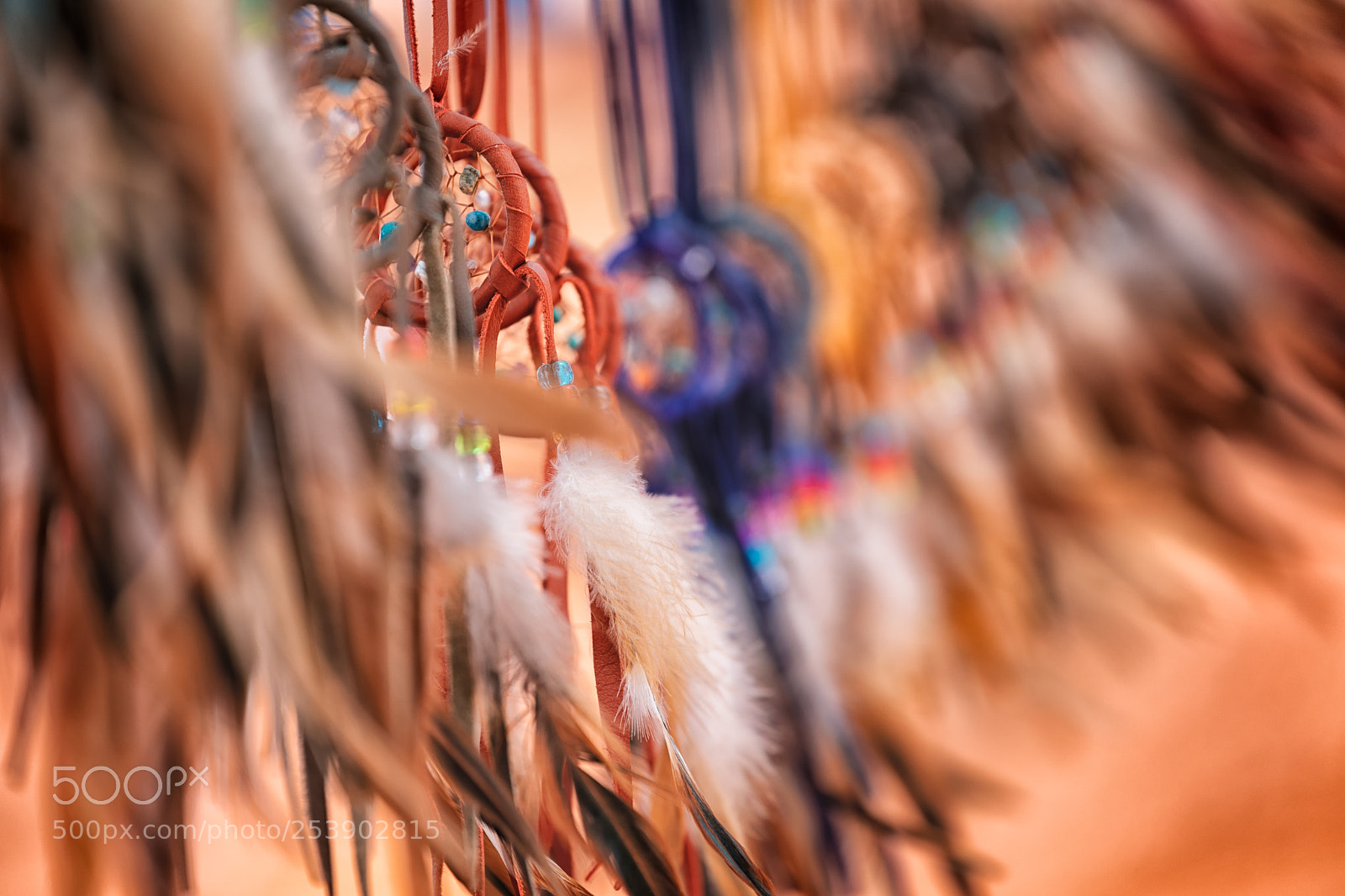 Canon EOS 5D Mark IV sample photo. Dream catchers photography