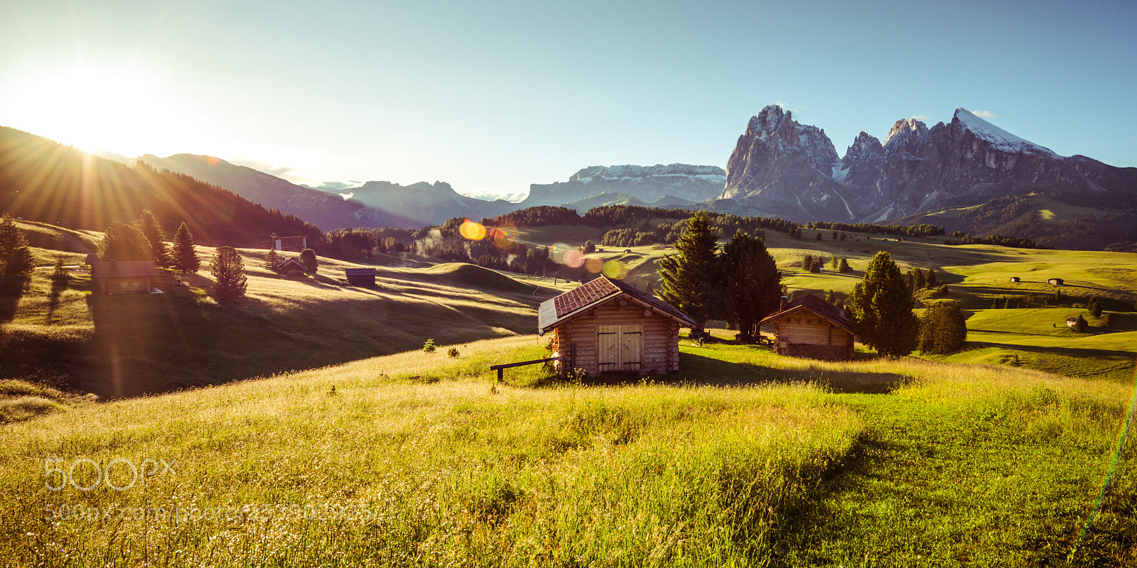 Nikon D810 sample photo. [ seiser alm ] photography