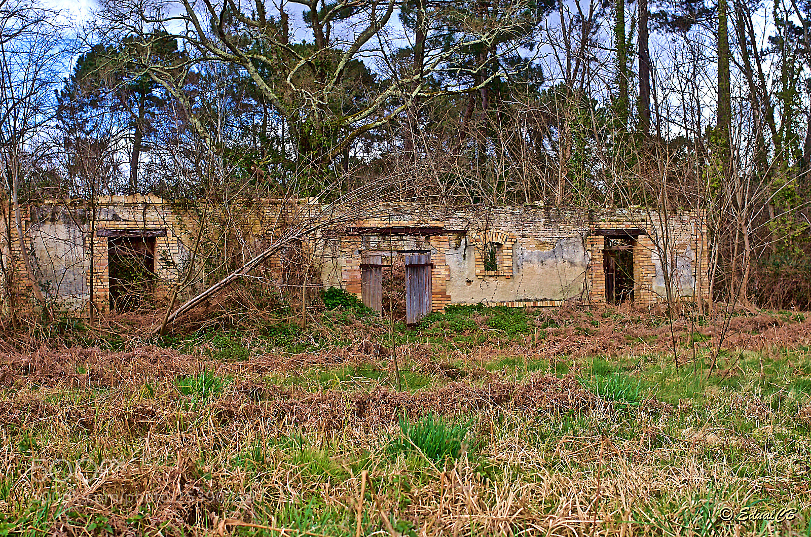 Pentax K-5 sample photo. Old barn abandoned photography