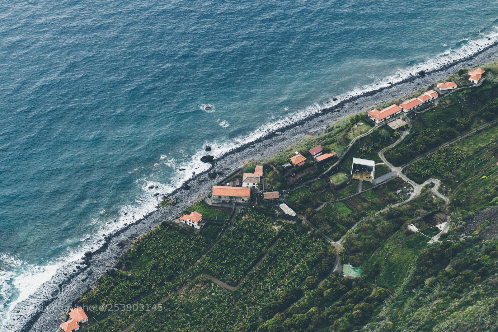 Sony a6000 sample photo. Faja dos padres madeira photography