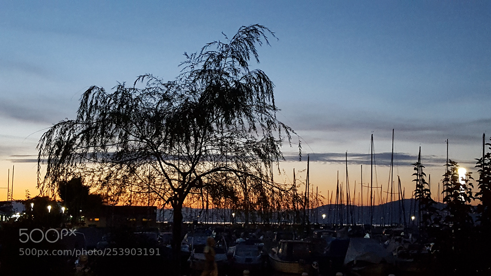 Samsung GALAXY S6 edge sample photo. Zenitude photography