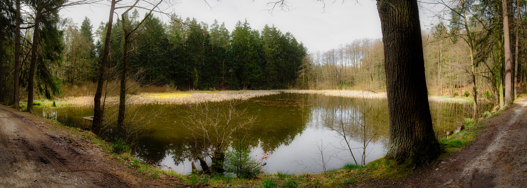 schwarzer teich von dirk derbaum auf 500px.com