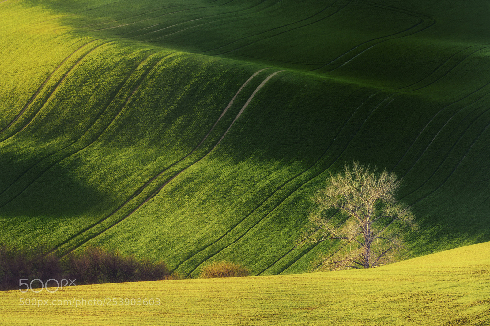 Nikon D7200 sample photo. Fields of moravia photography