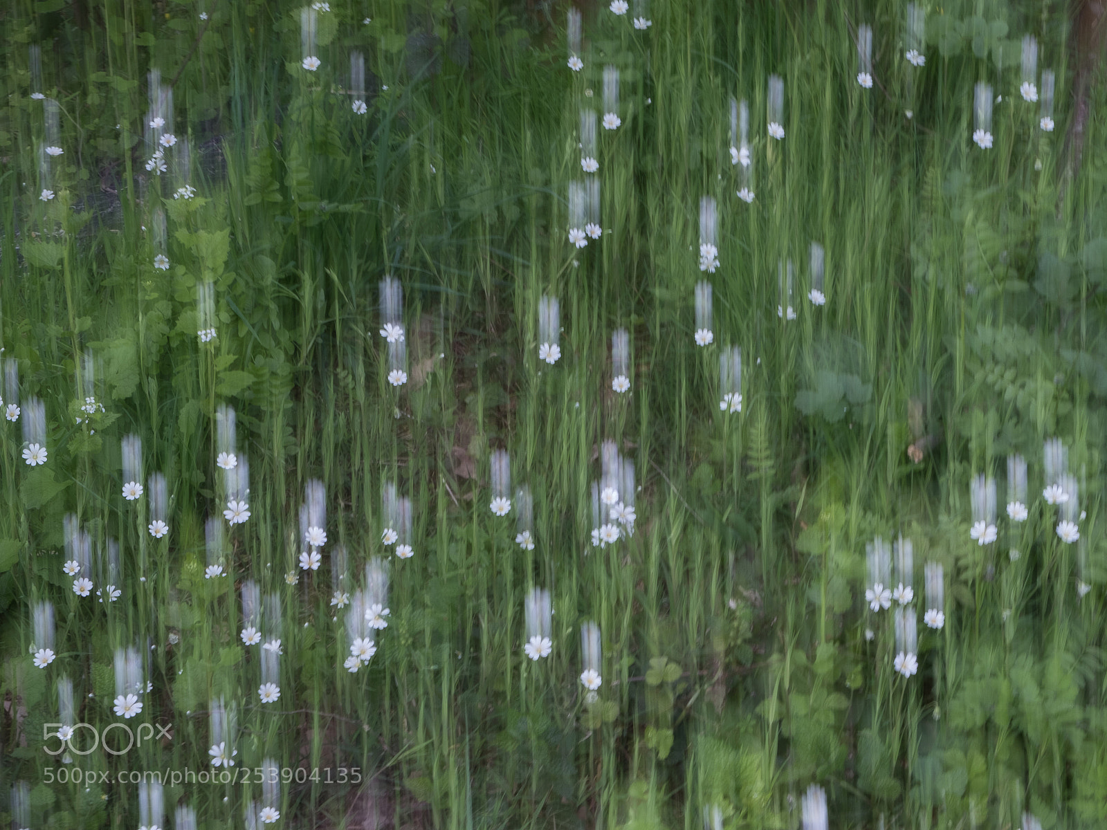 Fujifilm X-T20 sample photo. Abstract photography