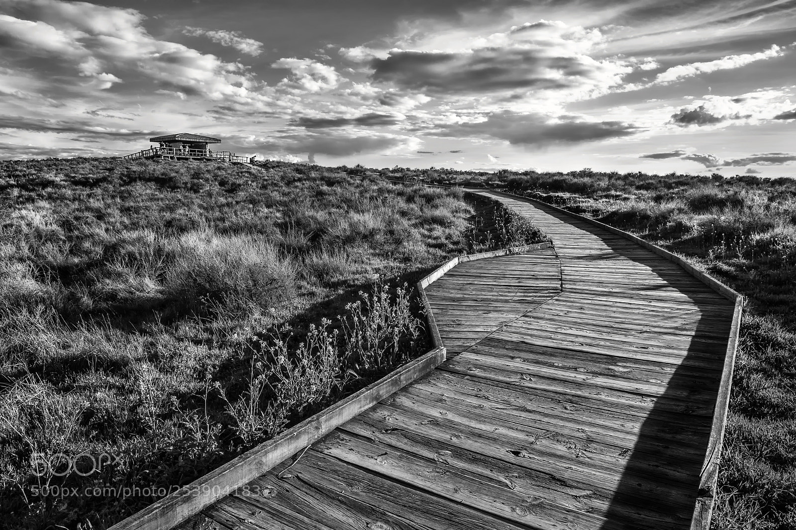 Nikon D7200 sample photo. Wooden walkway. photography