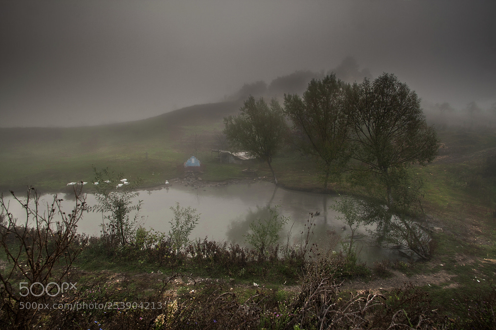 Canon EOS 40D sample photo. In the morning mist photography