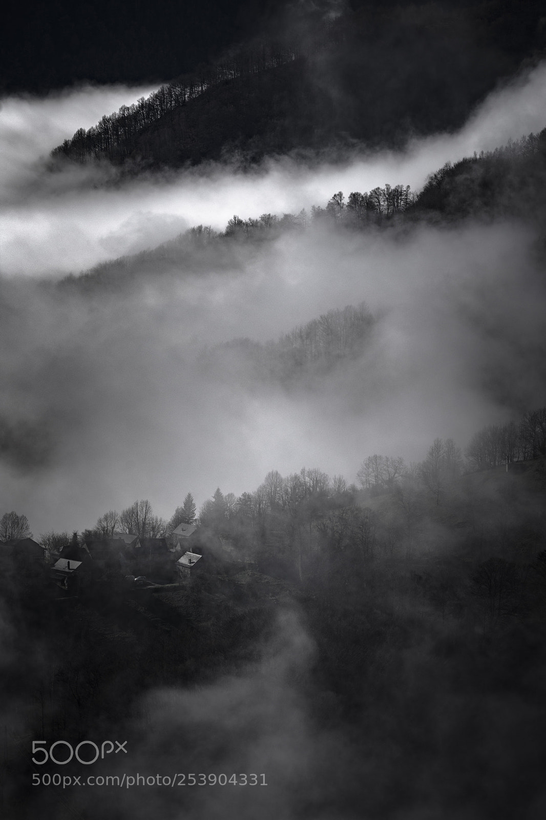 Nikon D7200 sample photo. In the mist photography