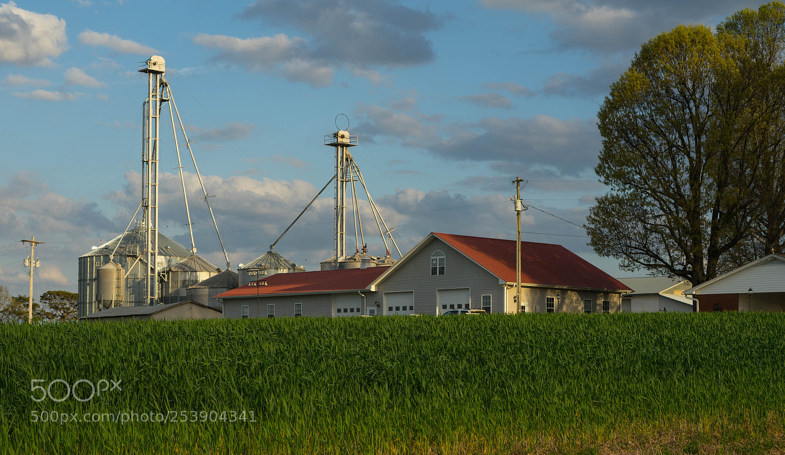 Sony a7 II sample photo. Spring on the farm photography