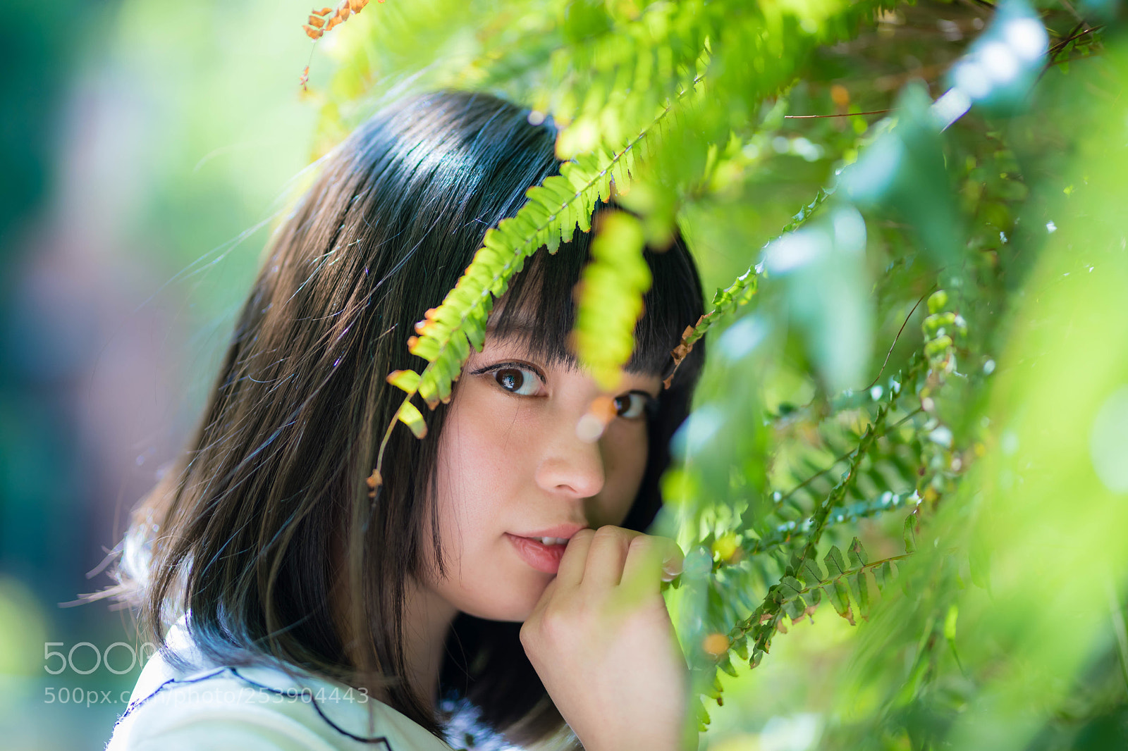 Canon EOS 5D Mark IV sample photo. Nobara photography