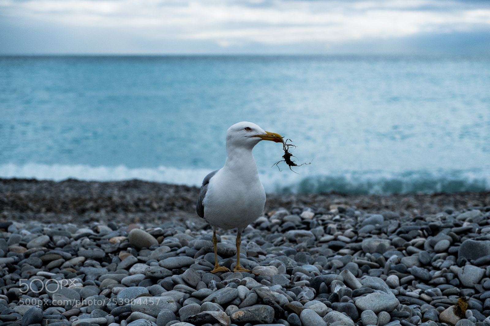 Fujifilm X-T2 sample photo. Oceans & blue tone photography