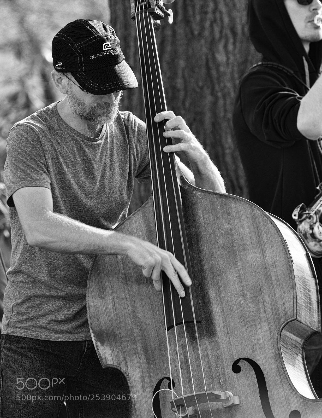 Nikon D810 sample photo. The bass player-central park photography