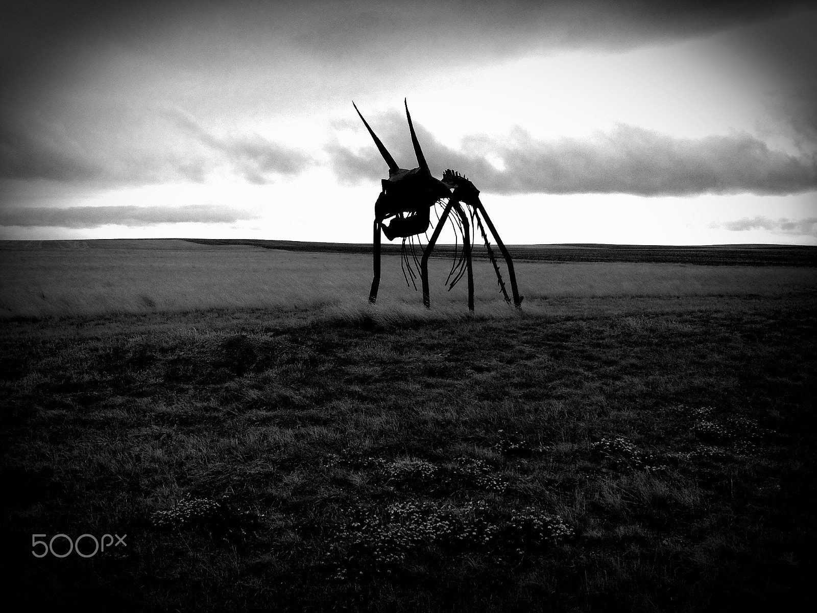 Apple iPad sample photo. The ominosity photography