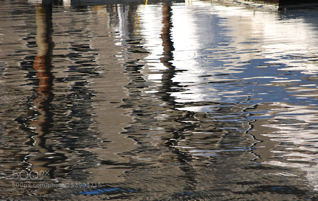 Nikon D60 sample photo. Td photography