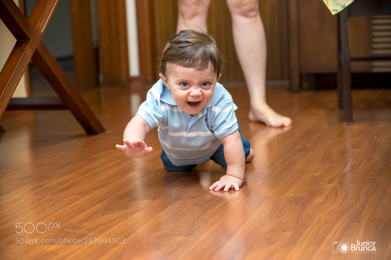 Nikon D850 sample photo. Lulu 002 photography