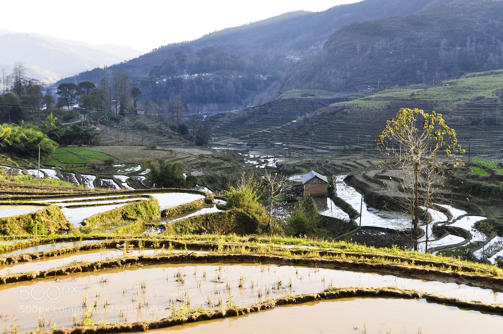 Nikon D90 sample photo. Terraces photography