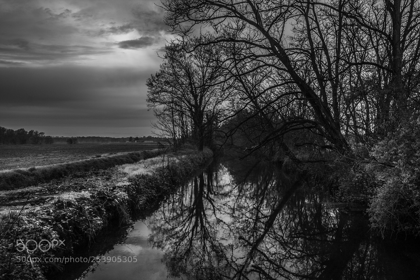 Canon EOS 40D sample photo. Black and white reflection photography