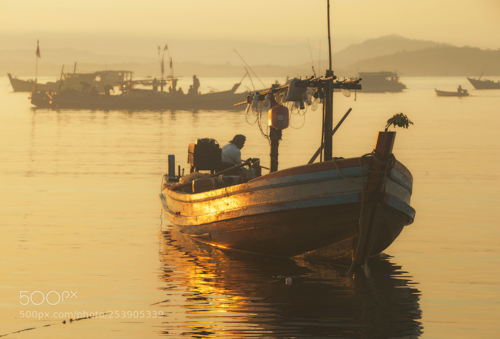Canon EOS 70D sample photo. Golden morning photography