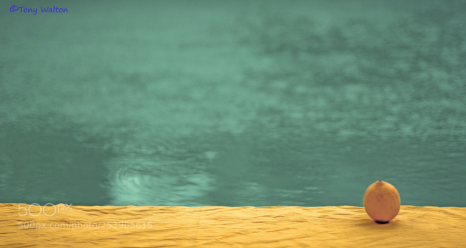 Nikon D7200 sample photo. Lemon by water in photography