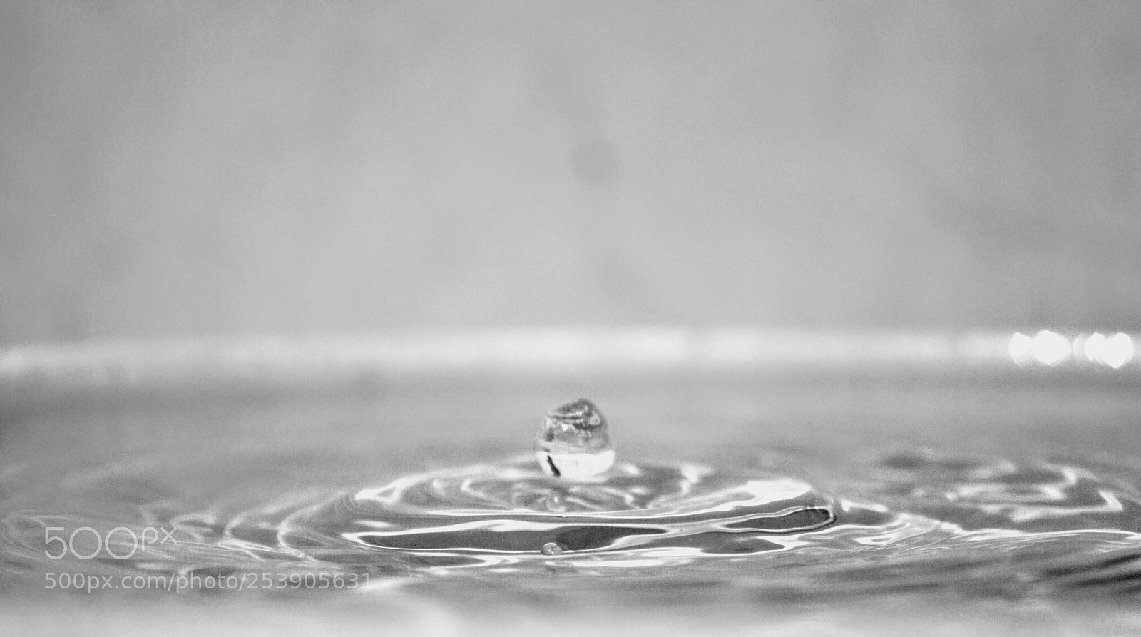 Nikon D3200 sample photo. Untitled photography