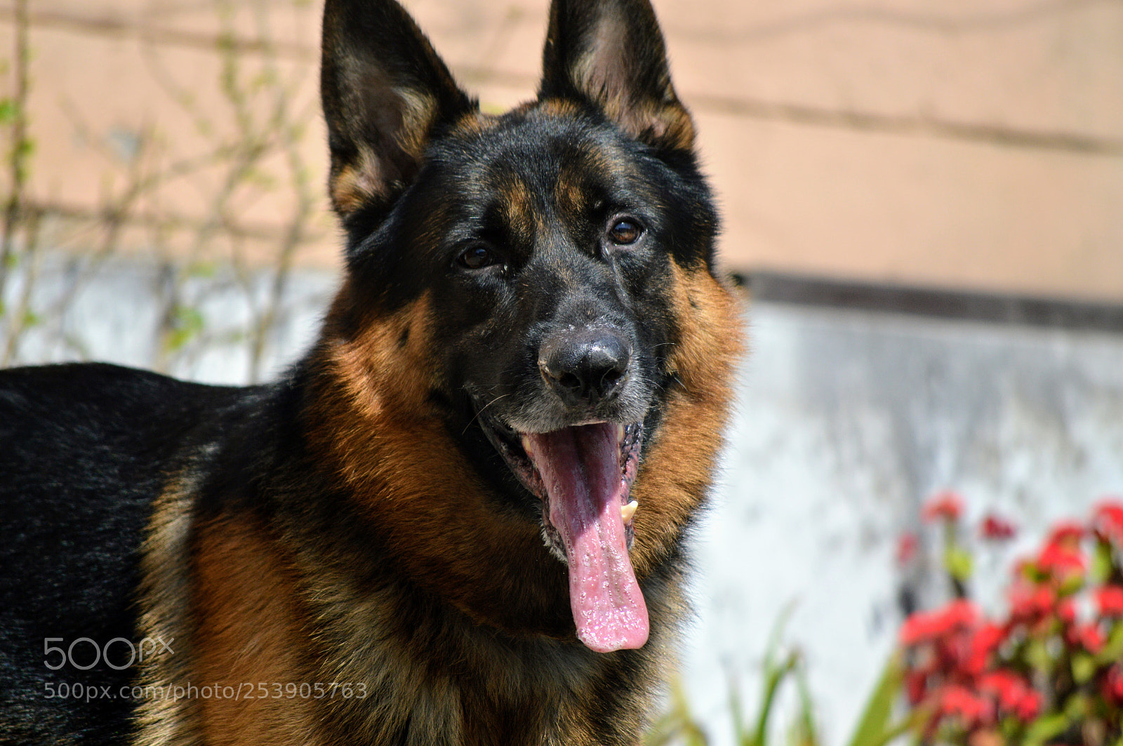 Nikon D3200 sample photo. Untitled photography