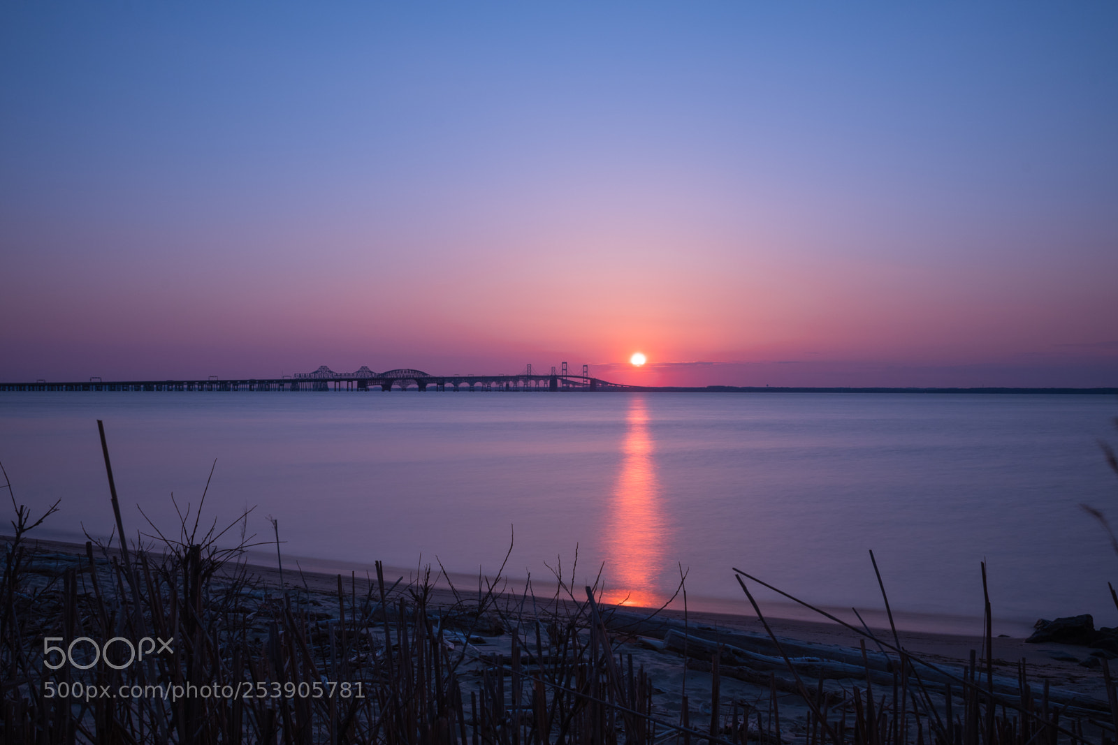 Nikon D500 sample photo. Bay bridge sunset photography