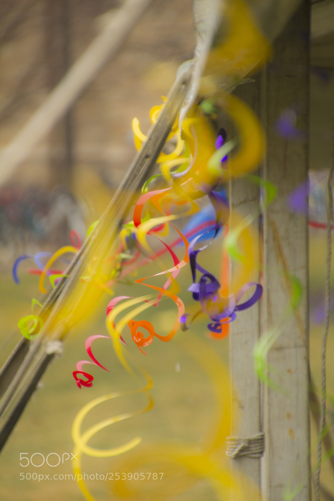 Canon EOS 1200D (EOS Rebel T5 / EOS Kiss X70 / EOS Hi) sample photo. Especially yellow blowing in photography