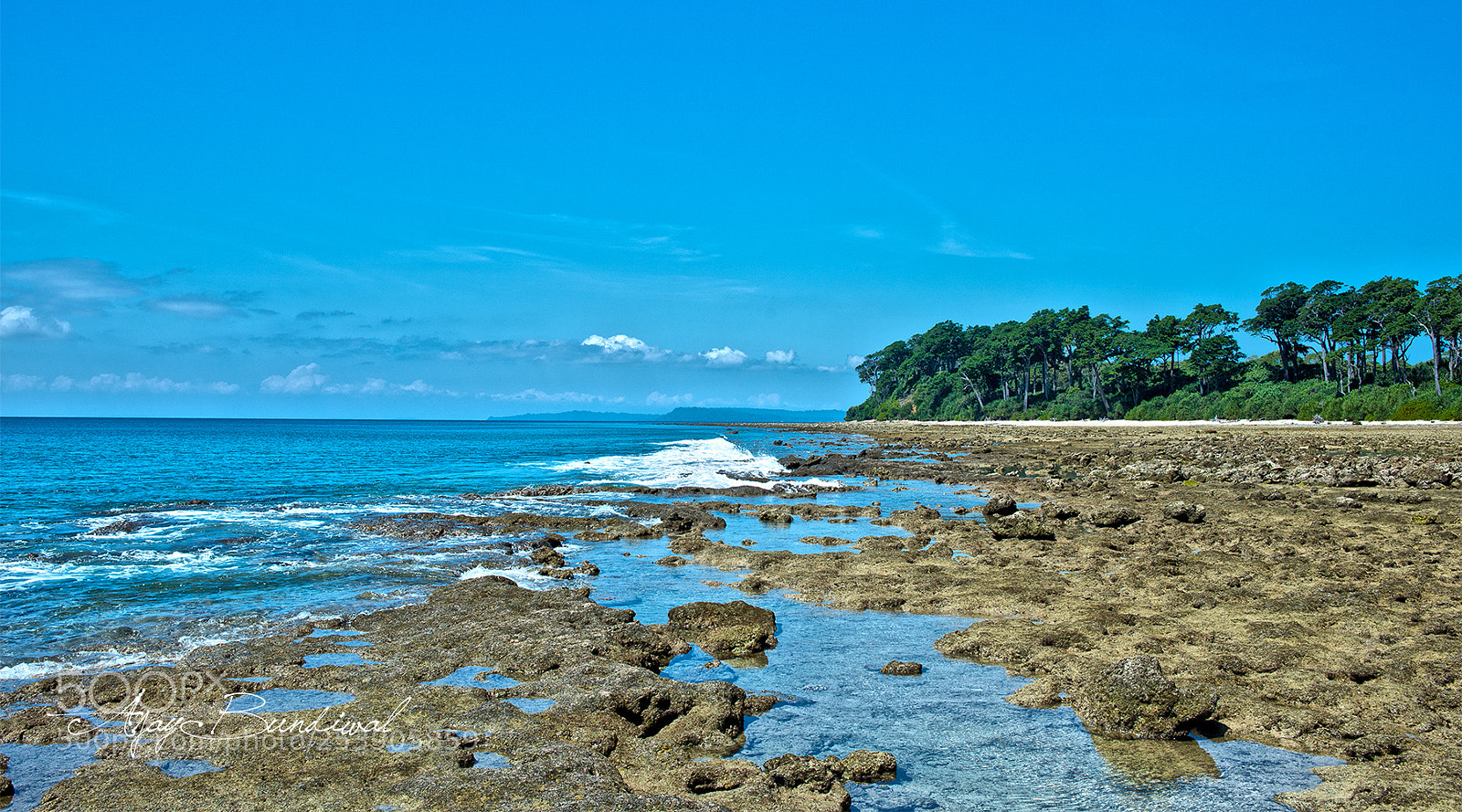 Nikon D810 sample photo. Neil island photography