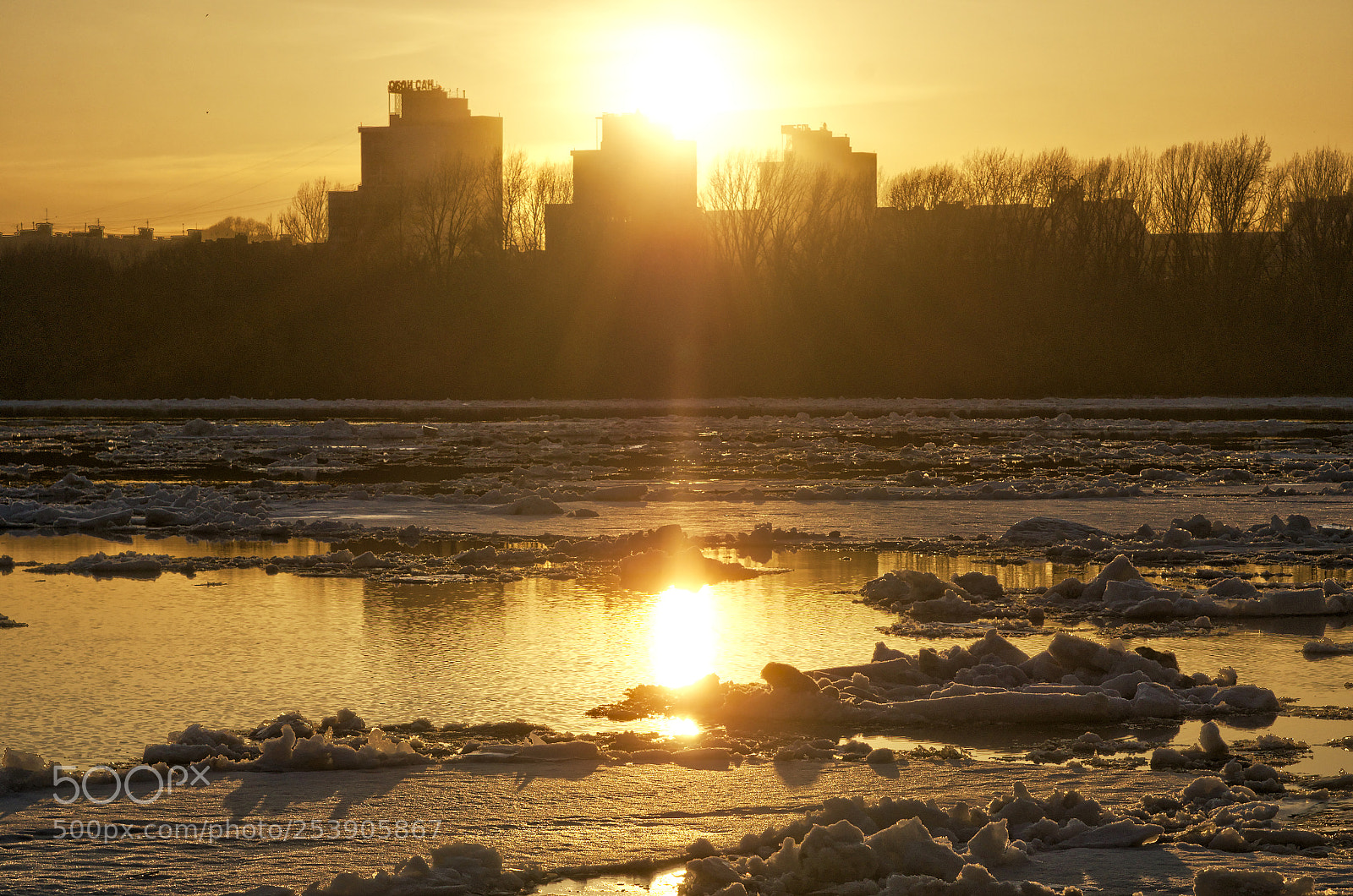 Nikon D7000 sample photo. Shining river photography