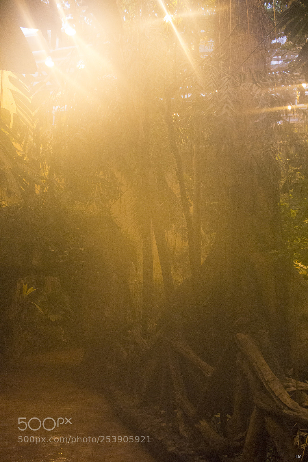 Canon EOS 700D (EOS Rebel T5i / EOS Kiss X7i) sample photo. Welcome to the jungle photography