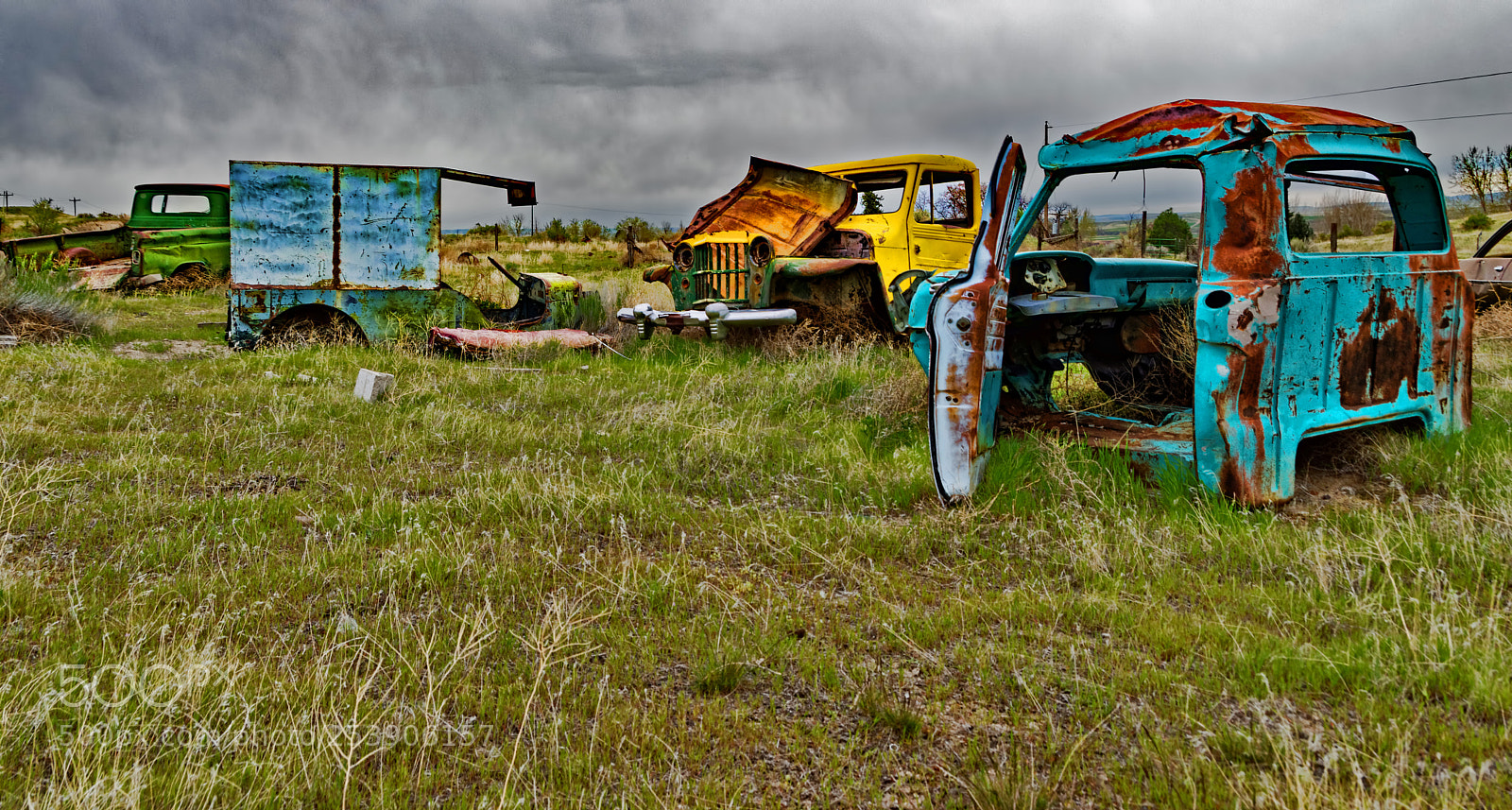 Nikon D5300 sample photo. Skeletons i photography