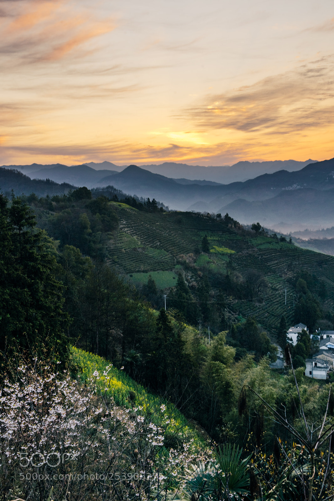 Sony a7 II sample photo. Sunset in shitan photography