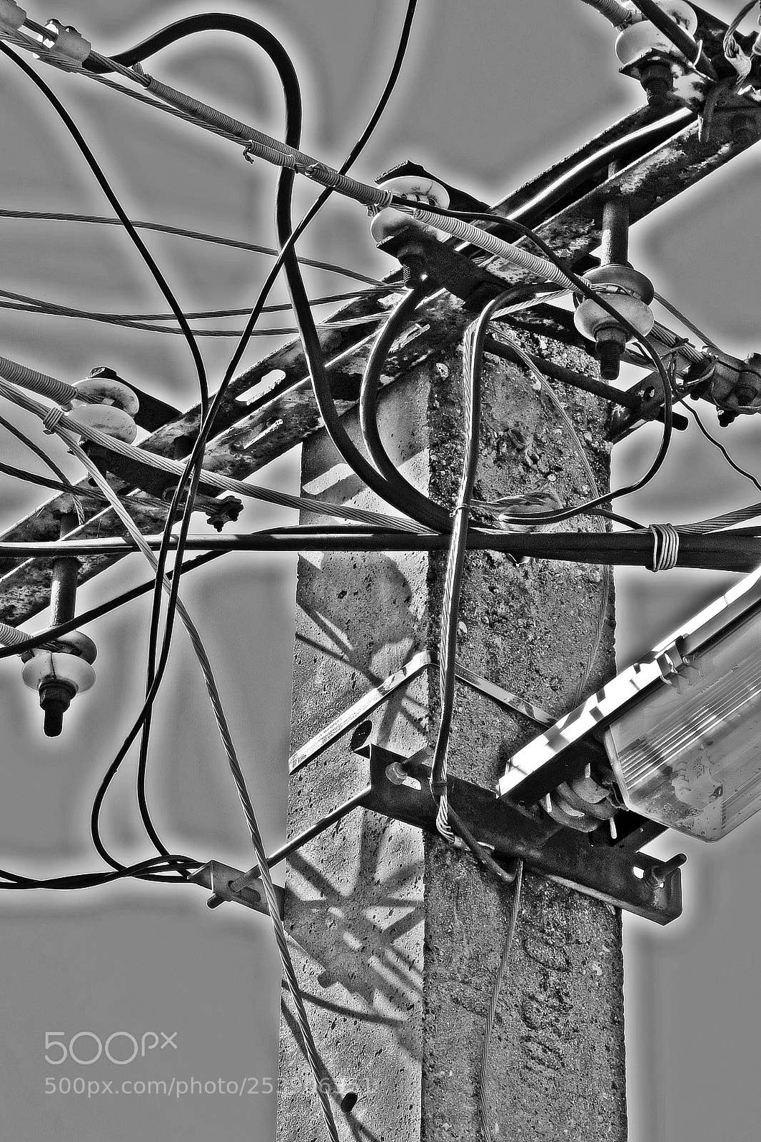Canon PowerShot SX50 HS sample photo. We're all connected photography