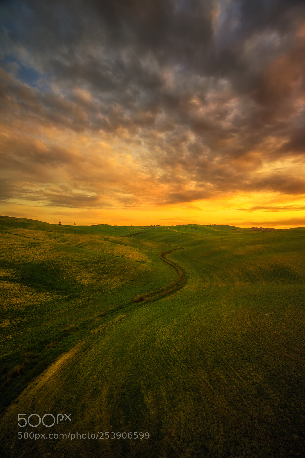 Sony a7 II sample photo. Rolling hills photography