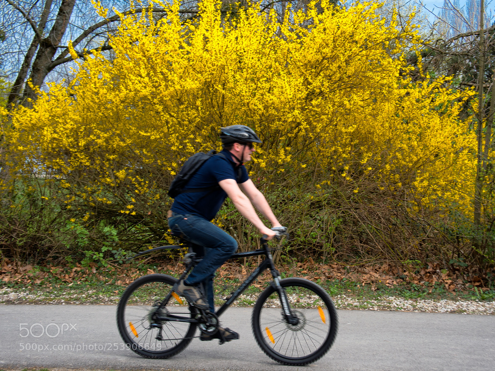 Nikon D810 sample photo. Nik photography