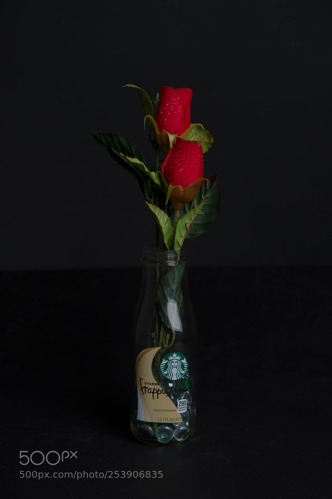 Nikon D3S sample photo. Starbucks vase photography
