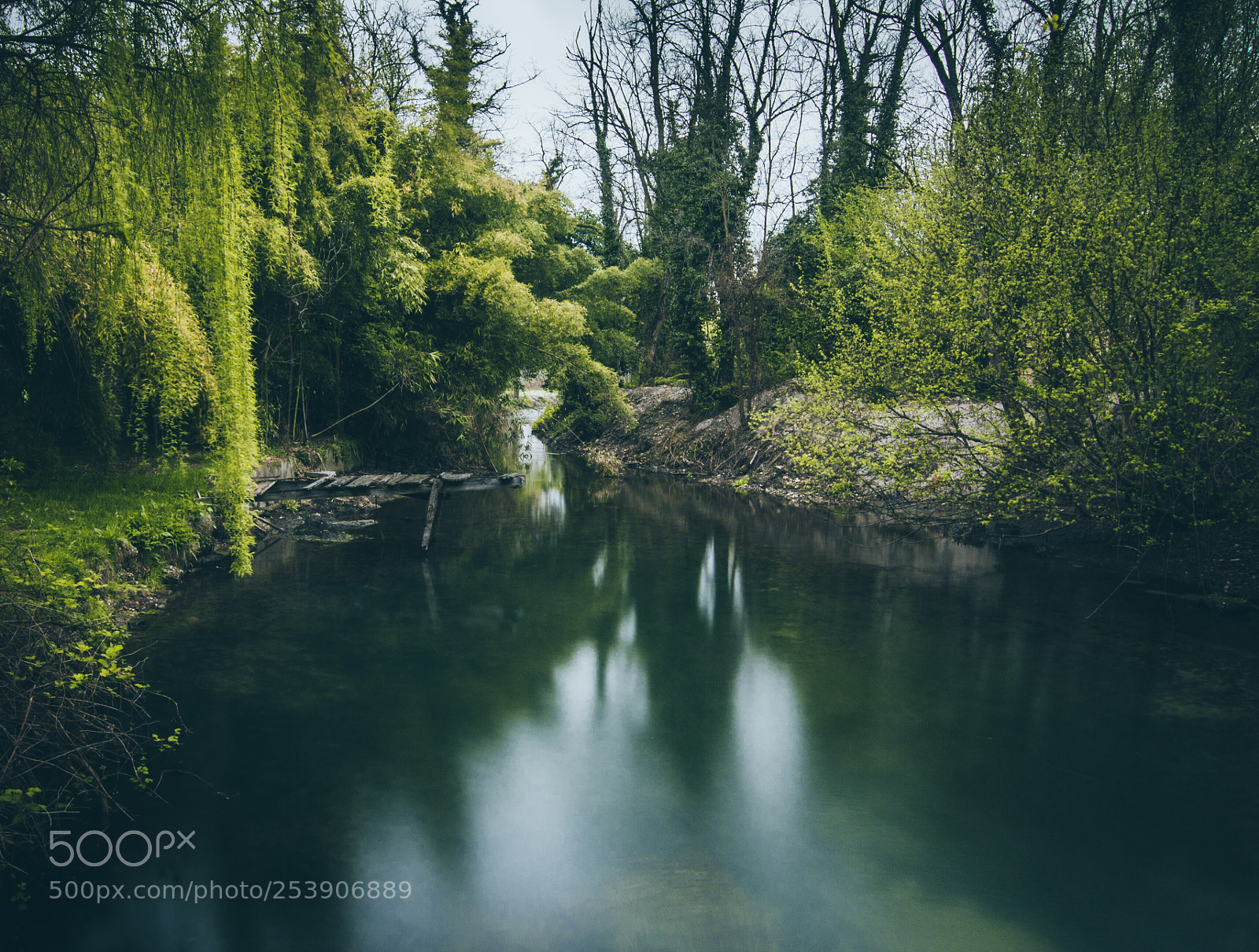 Canon EOS 40D sample photo. Peaceful spot photography